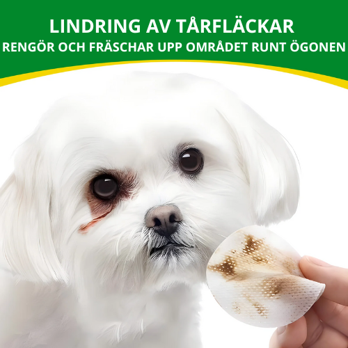 Ge ditt husdjur en klarare blick med - PawsVision!